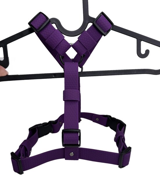 HEXA HARNESS-DARK PURPLE